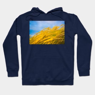 Wavering golden grass. Hoodie